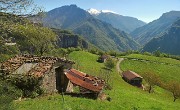 22 Bruga alta, gli ultimi pascoli. Sullo sfondo il solco della Val Pari na, Ortighera e Menna...